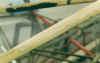 wood2.jpg (36543 bytes)